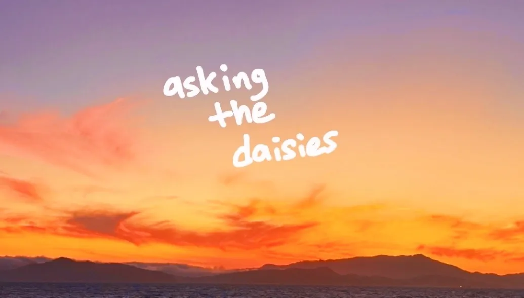 listen to asking the daisies (i fell for you)