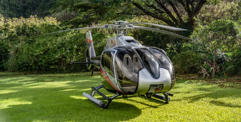 HANA RAINFOREST EXPERIENCE - MAUI