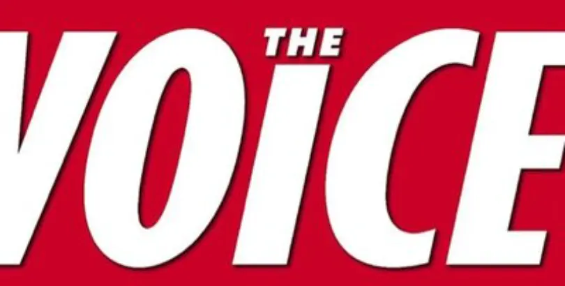 The Voice Article 