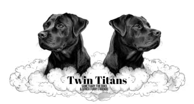 Donate to the Twin Titans 