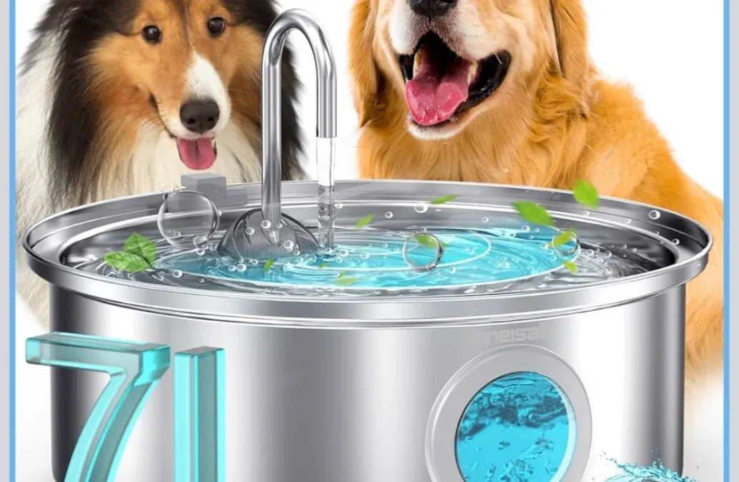 AMAZON: Oneisall cordless water fountain