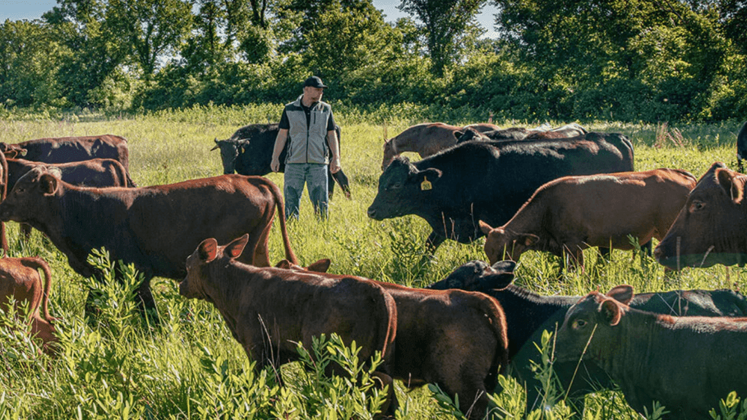 ✅ GG Approved: REP PROVISIONS Clean Meat
