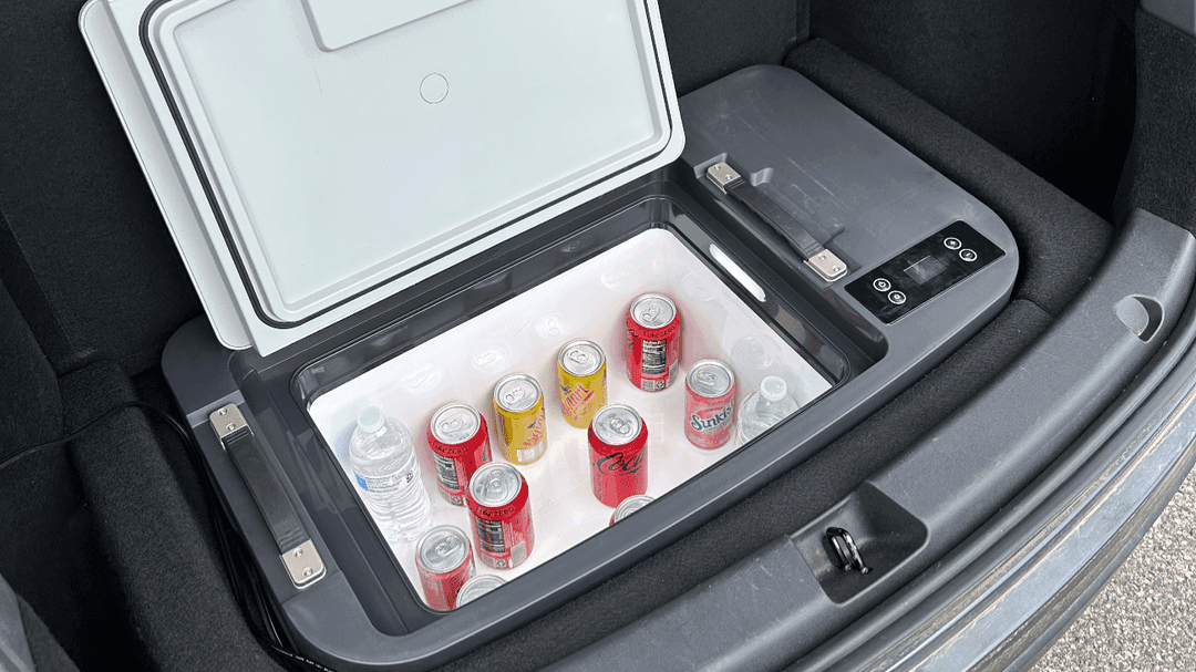 Order Your TesFridge! (code “FLEX” 10% off)