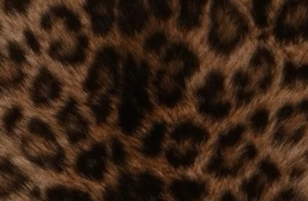 shop my clothes