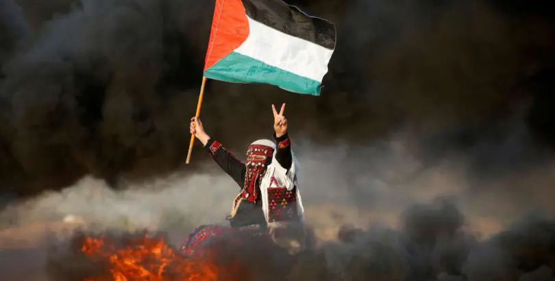 Learn What's Happening in Palestine