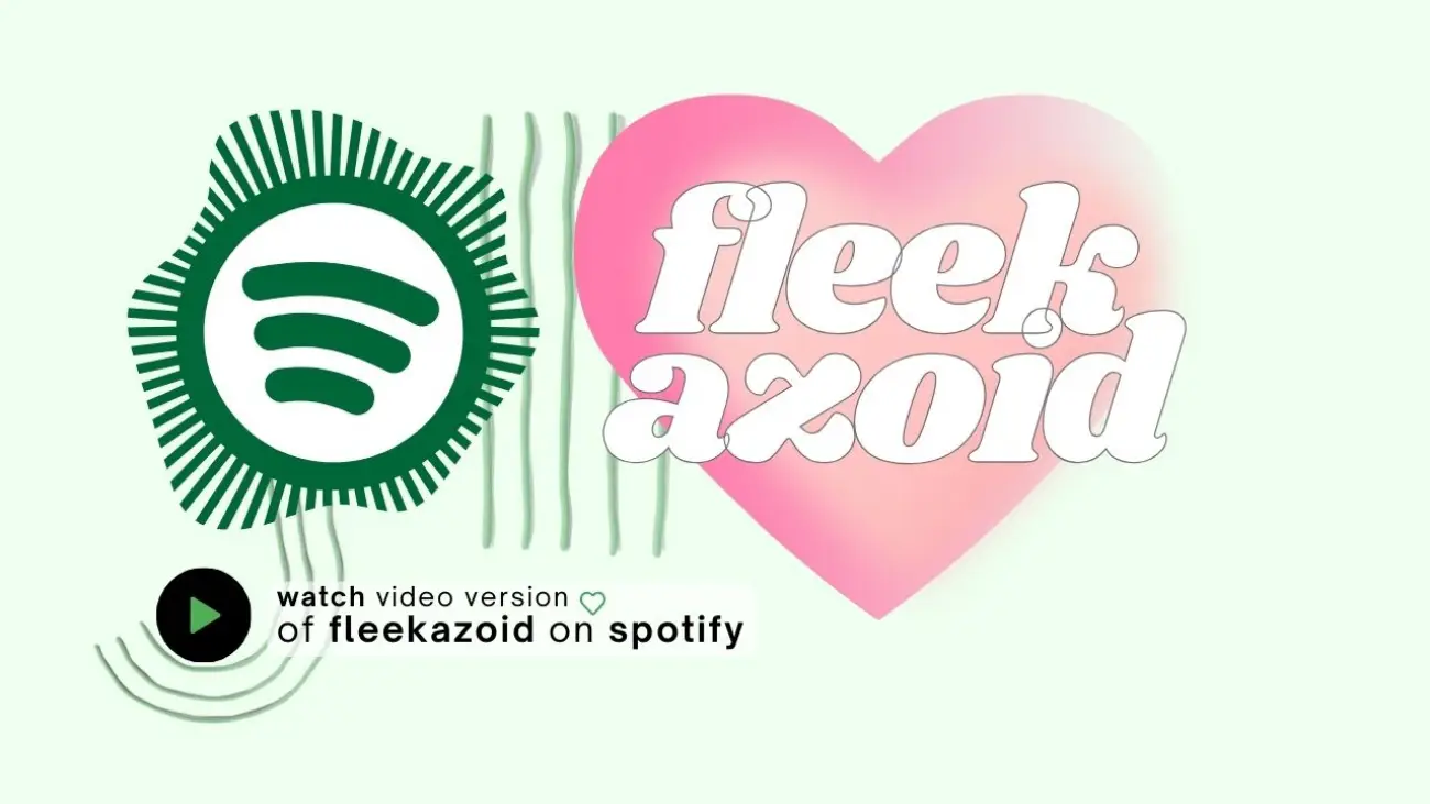 Fleekazoid on Spotify