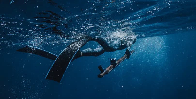 Neritic Diving♒︎Pole Spears♒︎Diving Equipment