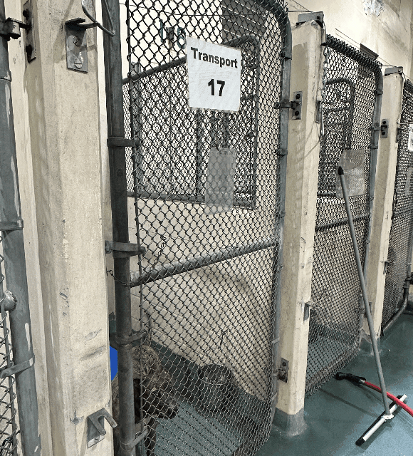 Donate to the MD Animal Services Shelter - Help buy items from their Amazon Wish List to provide for the 800 animals they shelter.