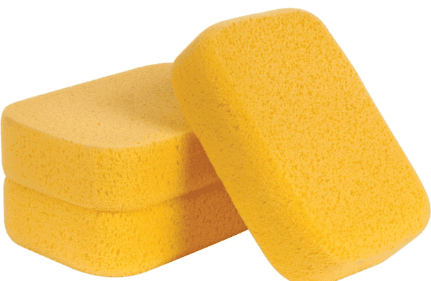 Sponges