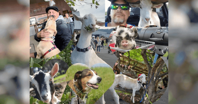 Help Grant ("Goat Man") Care for His Animals!