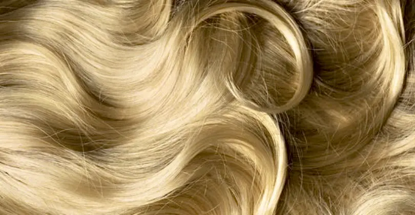 Hair / Wig Shop