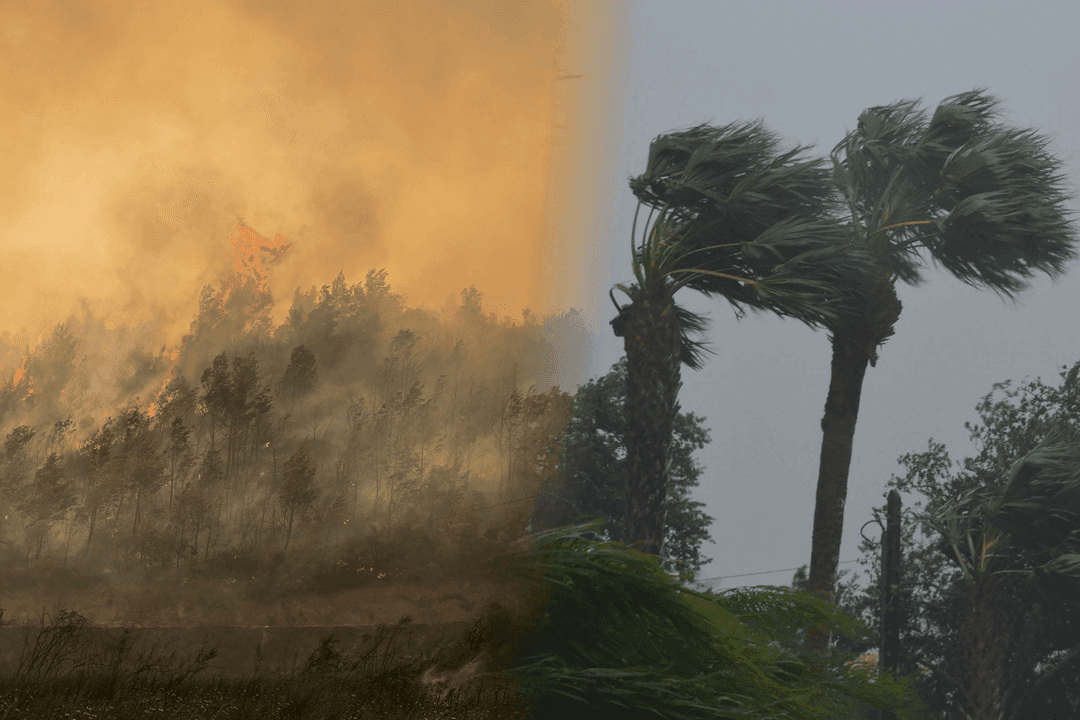 Disaster Relief