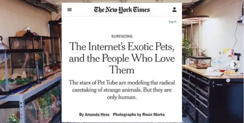 The New York Times - Feature