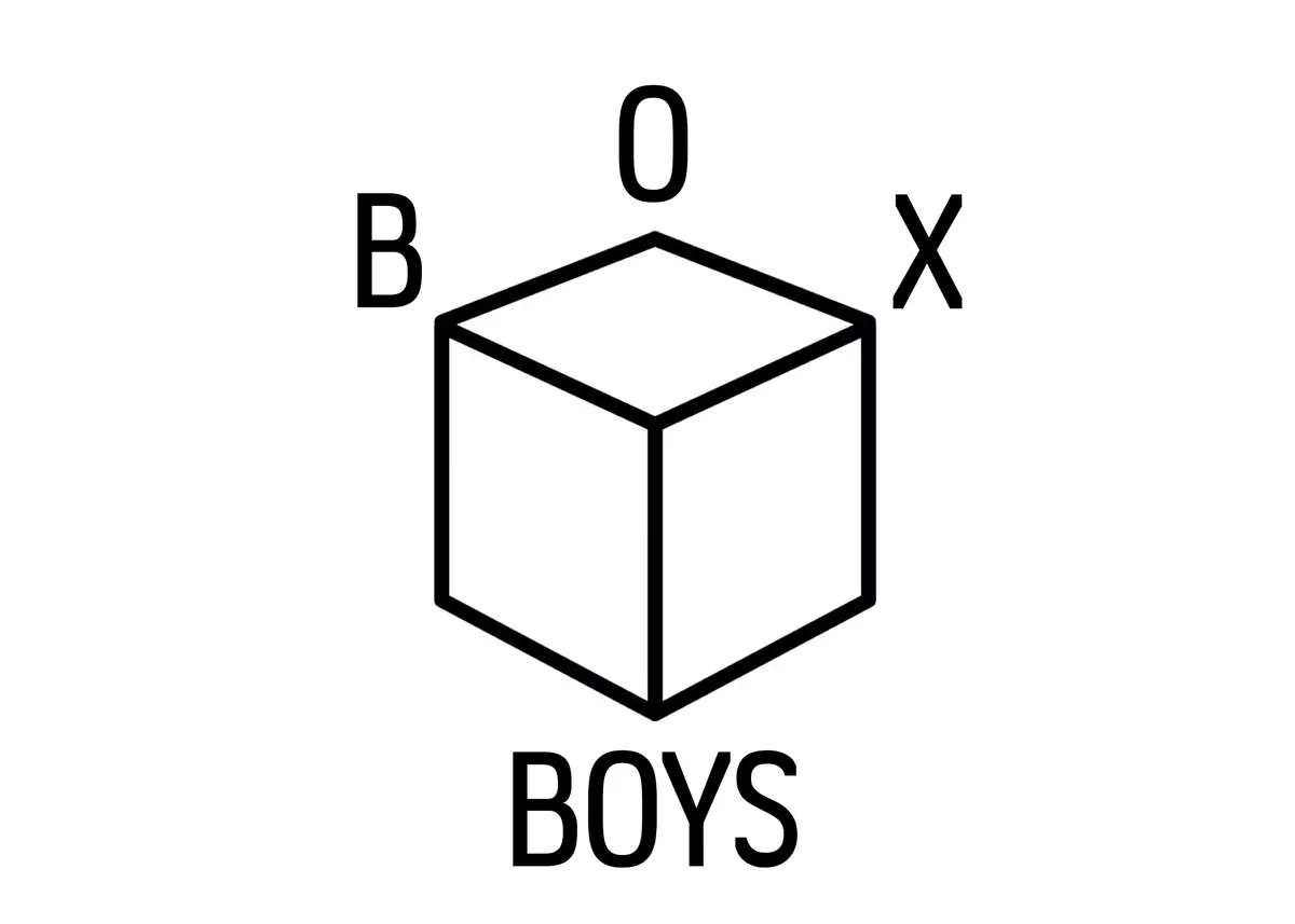 Buy Merch In The Box Boys Store!