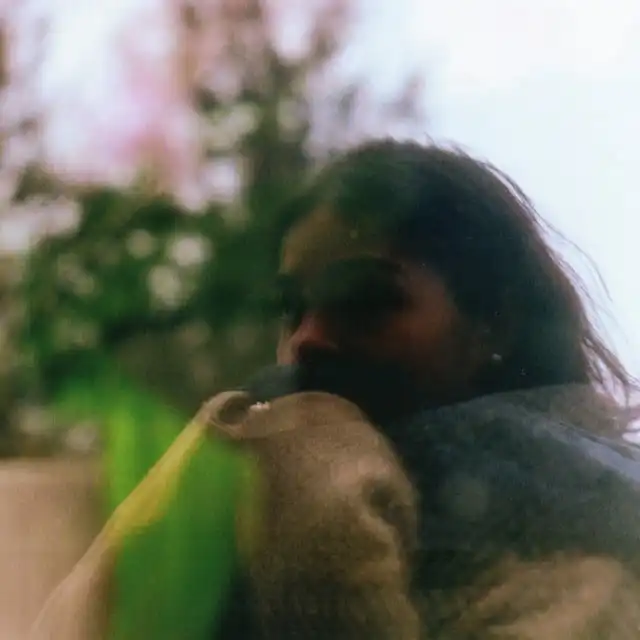 Vimeo