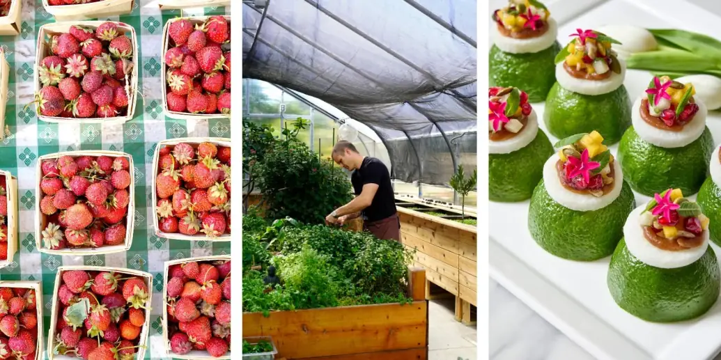 Life of a Sustainable Caterer in Chicago | Paramount Events