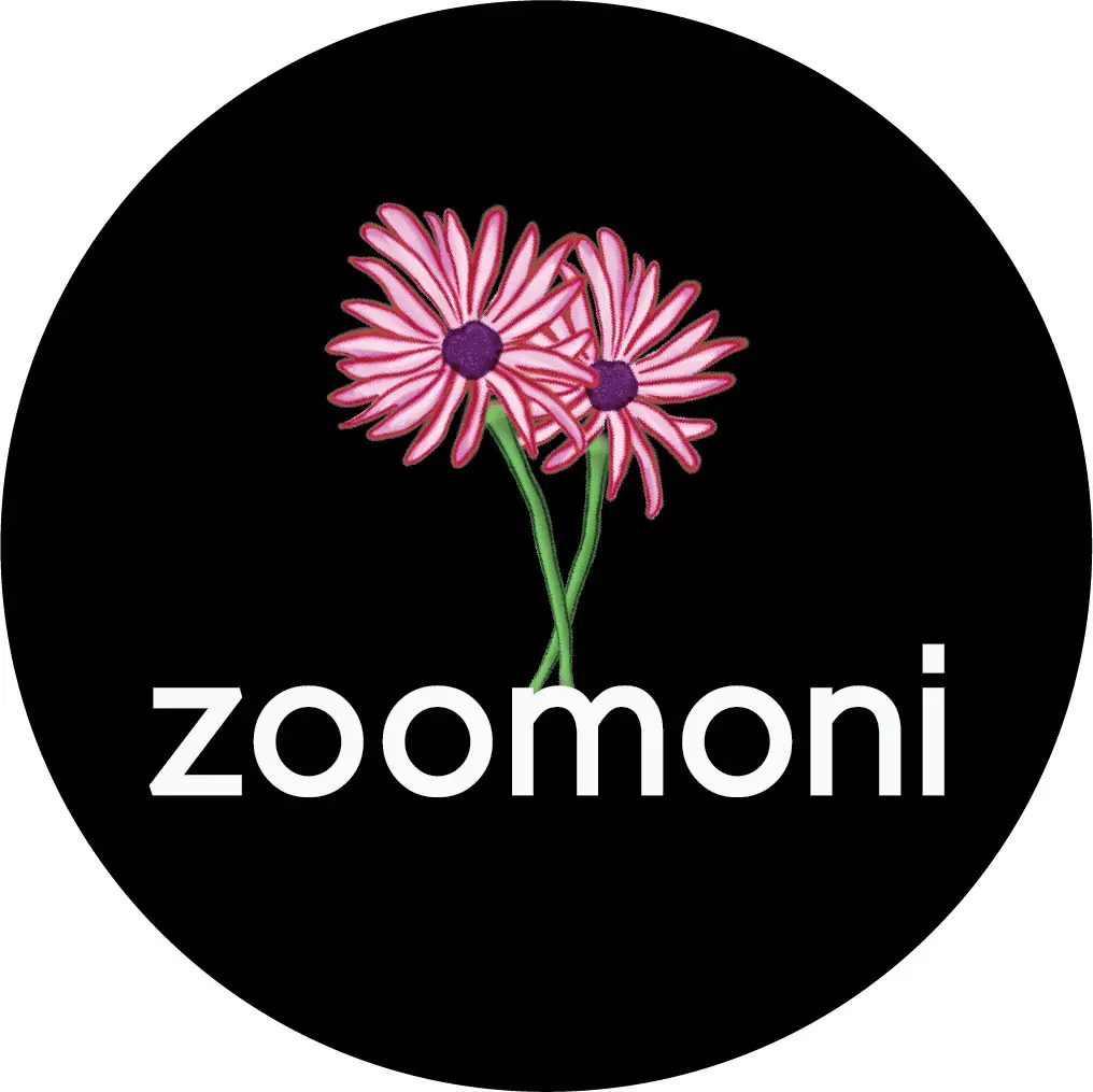 Home - Zoomoni”HANNAH20” for 20% off ZOOMONI organizers!