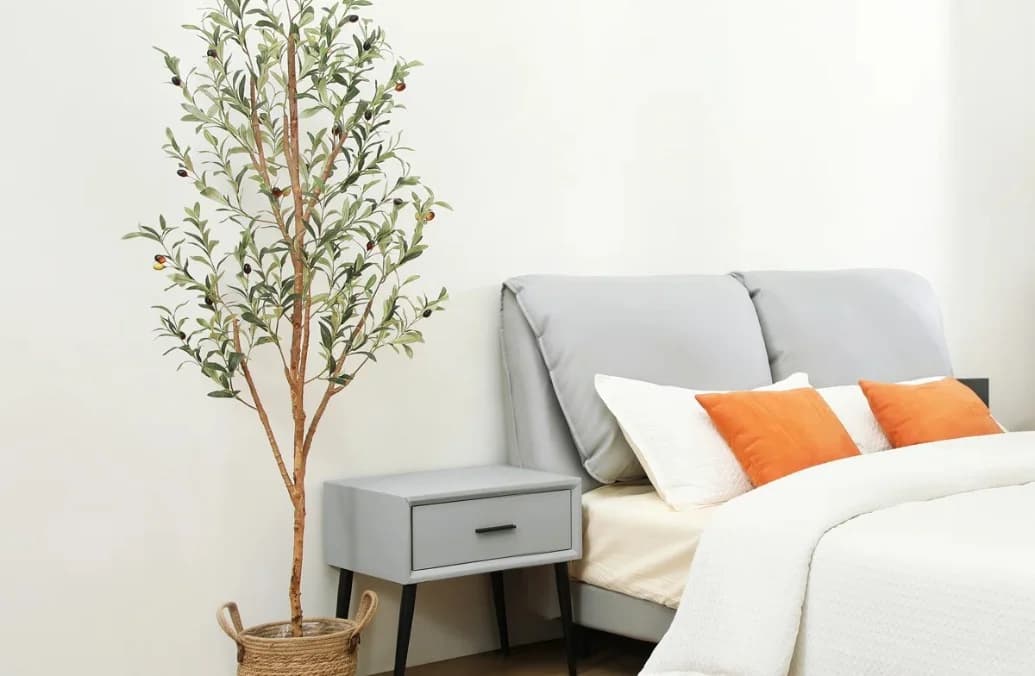  Olive Tree
