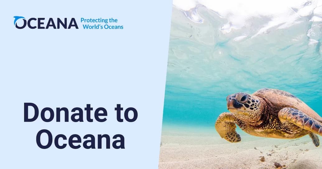 Donate to Oceana