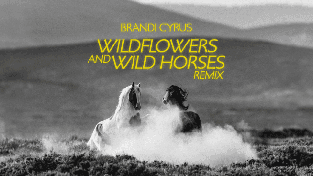 Wildflowers and Wild Horses (Remix)