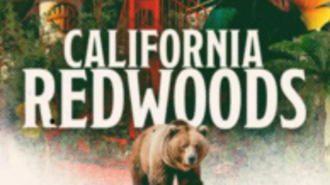 Welcome to California Redwoods Playlist