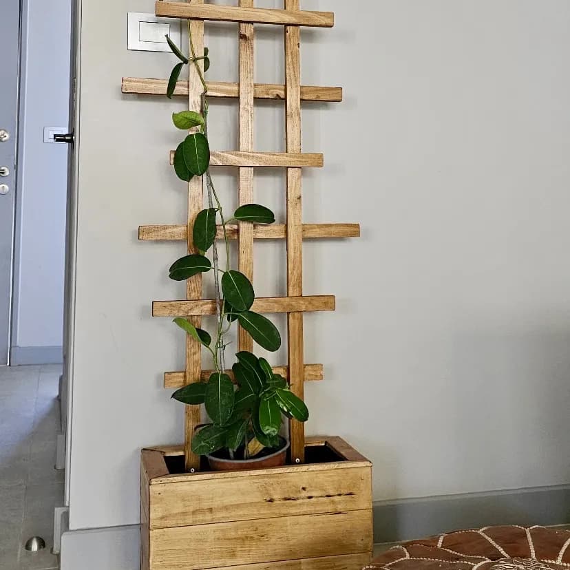 🌿 Macetero para enredaderas 🌸