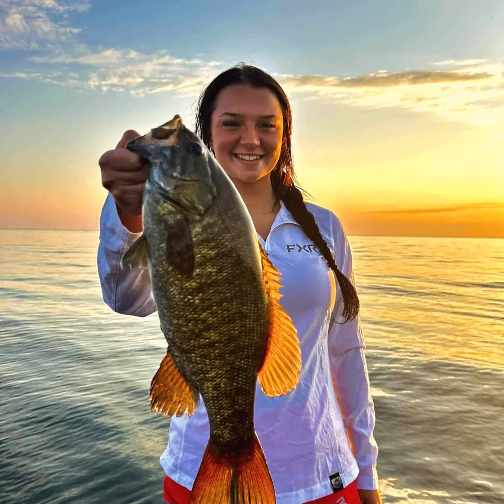 instagram 🎣