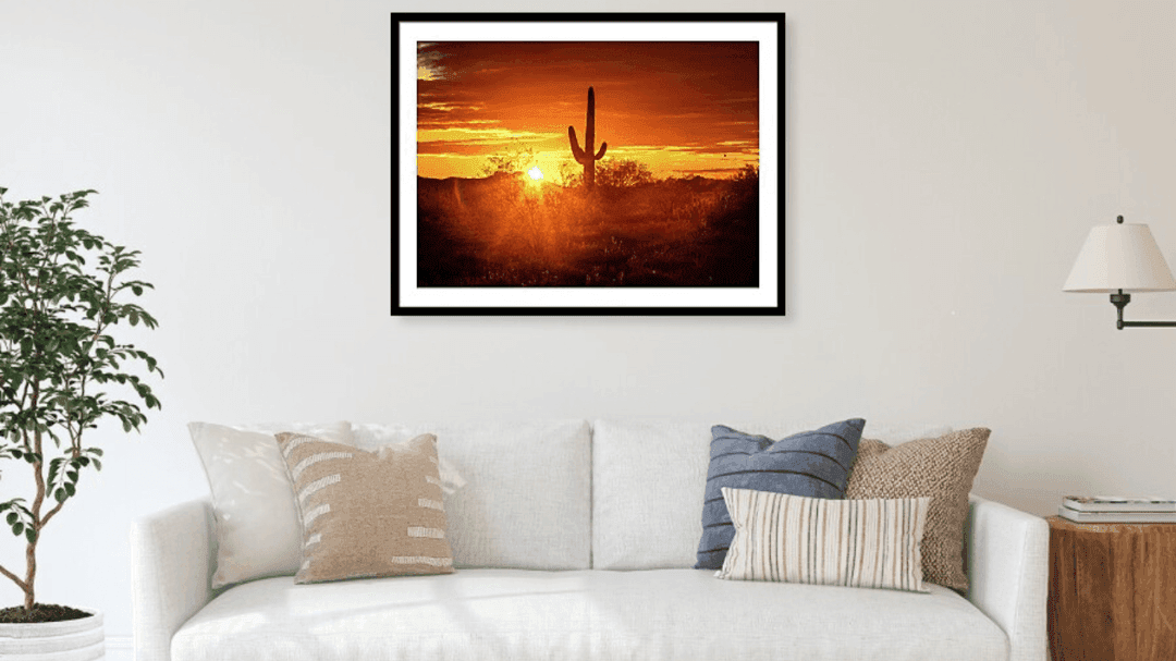 Shop my color fine art images
