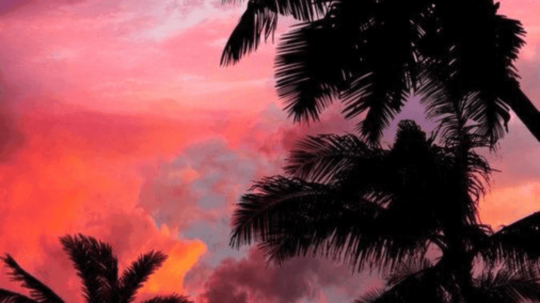 MACC SESSIONS🌴 (Apple music)