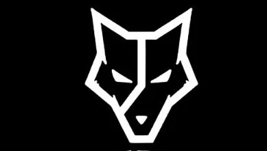 1:1 Online Coaching Application