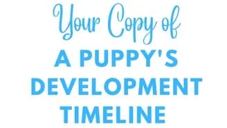 Puppy Learning Timeline PDF