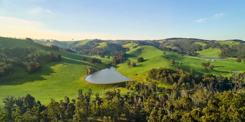 Explore Nannup: Forest Trails, River Adventures & Heritage Gems | Southern Forests & Valleys