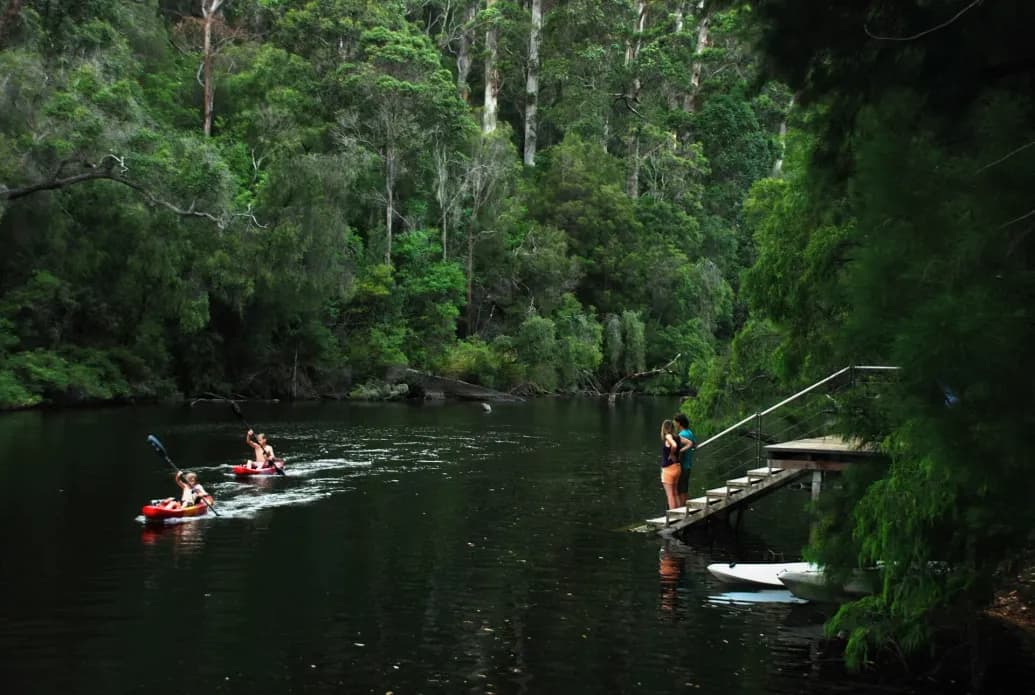 Paddling in the Southern Forests & Valleys | Southern Forests & Valleys