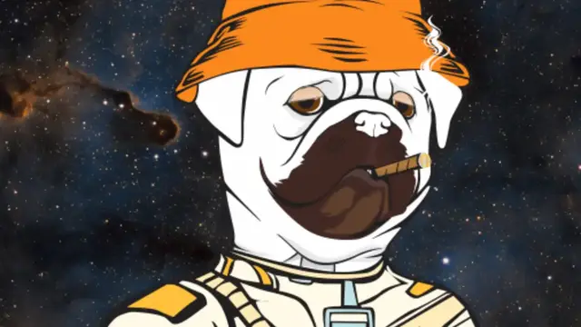 Pugs On Drugs
