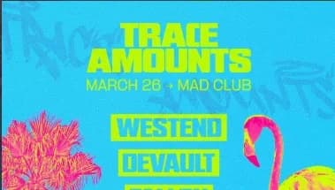DAVE SUMMER @ TRACE AMOUNTS MIAMI