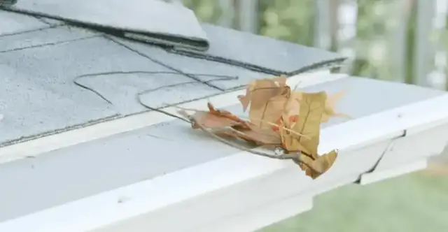 Why is Gutter Protection so Important?