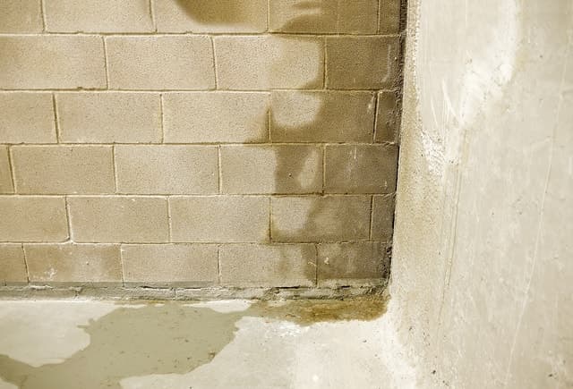 Where Is That Leak Coming From?!