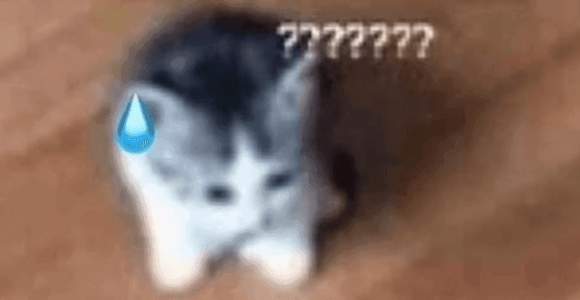 checkout my tiktok