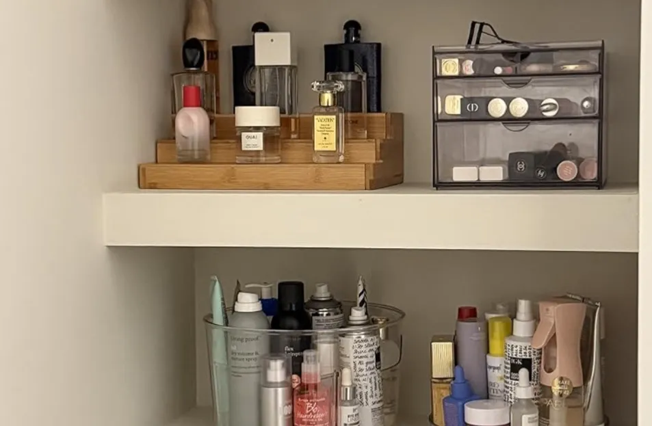 organization 