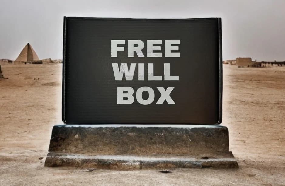 FREE WILL BOX - Something I Made