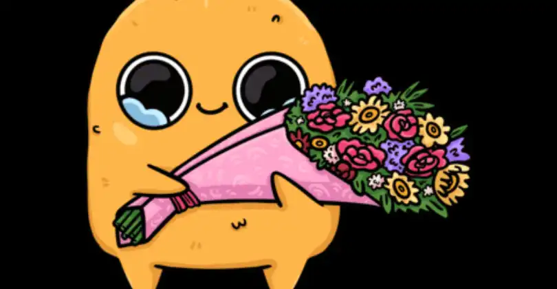 Sad Nuggie Gifs