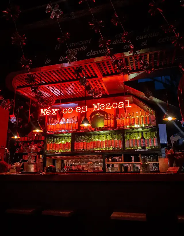 Cinco de Mayo Fiesta!!! Join us in MEXICO!!!