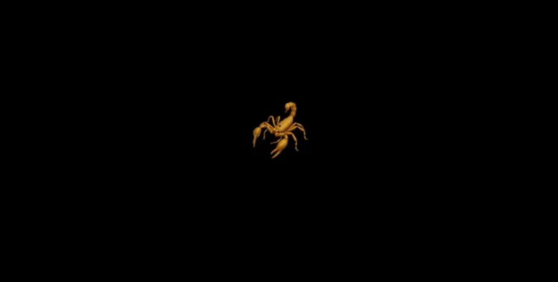 Scorpion by D-Man (Apple Music)