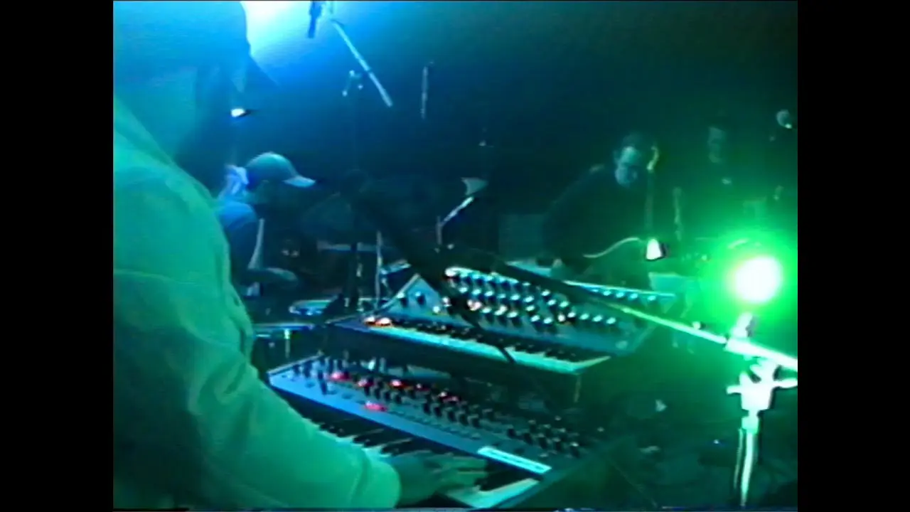 FULL SET fromb JUNE 4 2022 // Among the TRees
