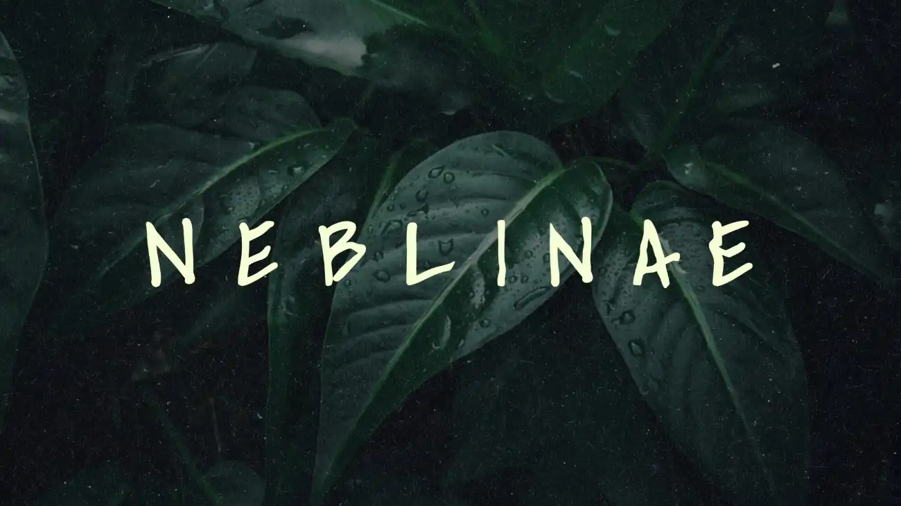 🔉 Neblinae