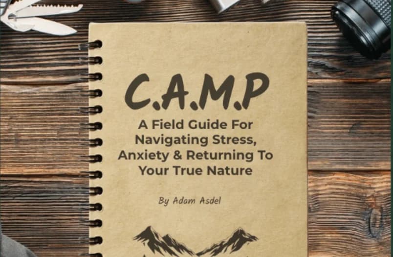 C.A.M.P - A Field Guide For Stress & Anxiety (FREE DOWNLOAD)