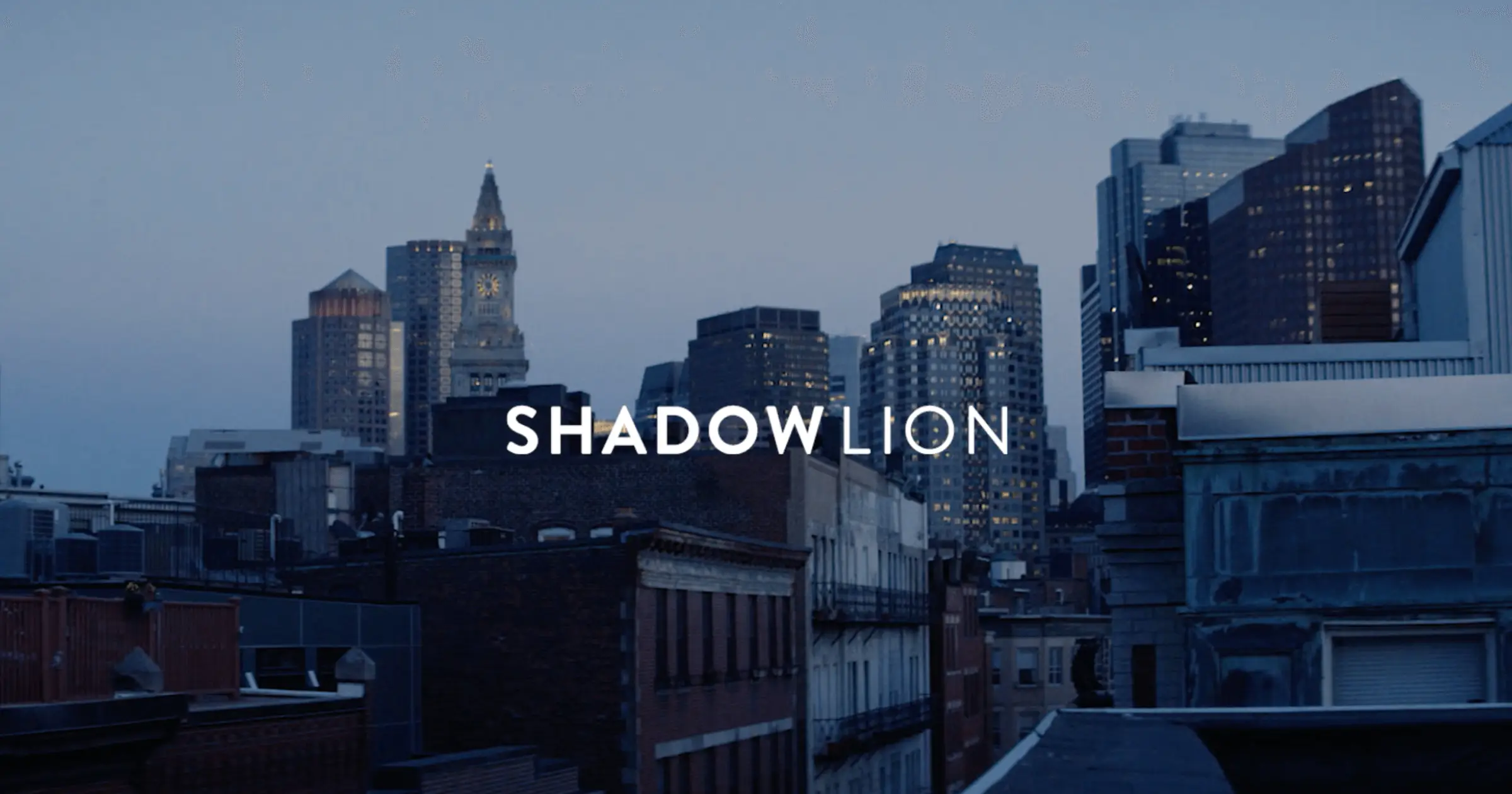 Shadow Lion - Our Website