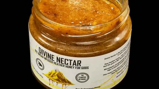 DIVINE NECTAR - performance honey 🍯