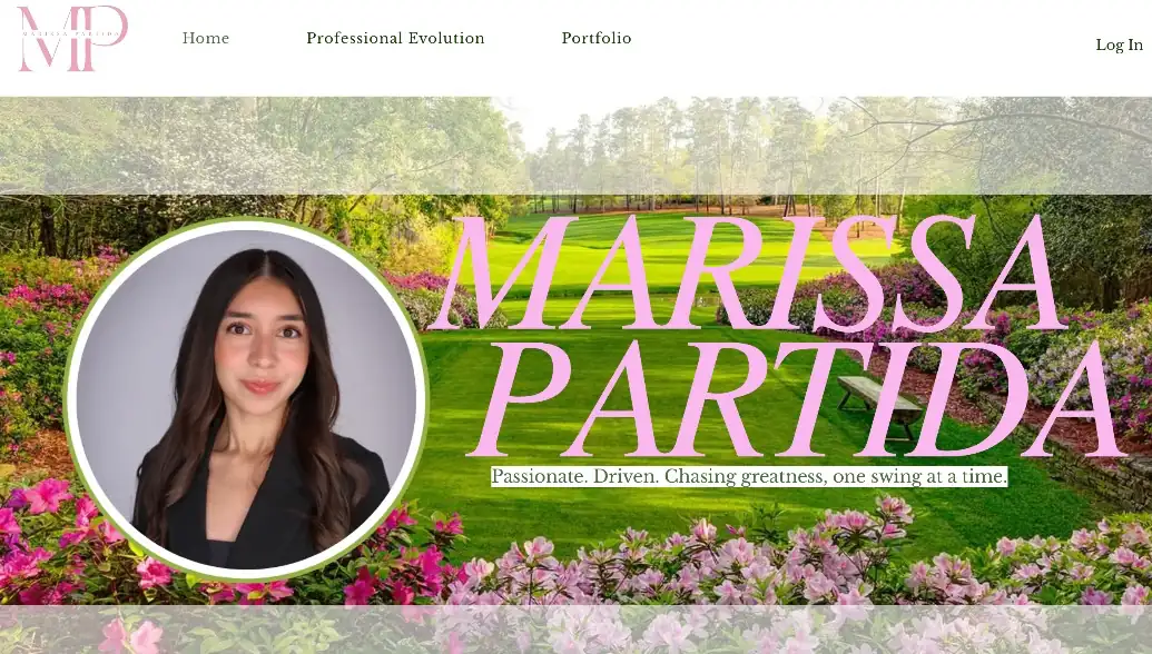 Professional Portfolio