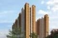 Prestige Evergreen